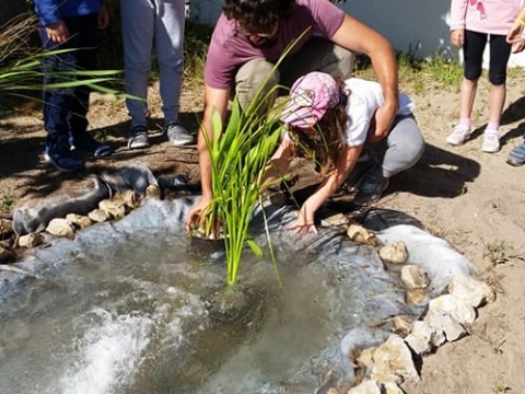 Construir um charco (reservatório de biodiversidade e laboratório vivo) na  nossa horta no âmbito do projeto piloto 